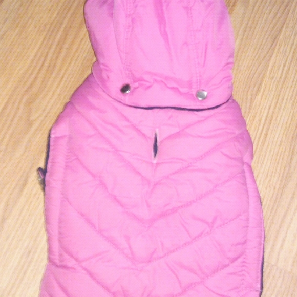 XS dog puffy hooded coat - Picture 3 of 5